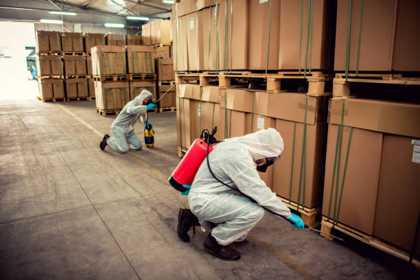 Wasp Removal Services in Highland City, FL