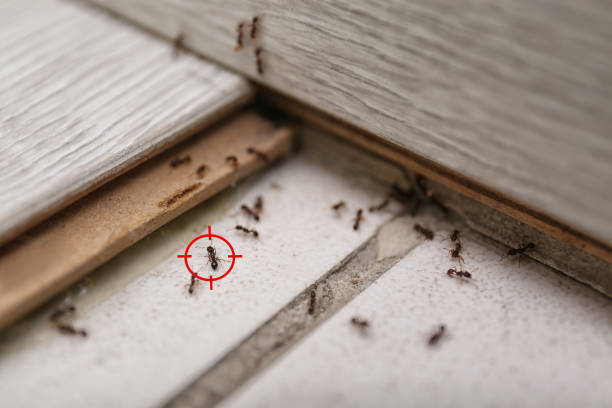 Highland City, FL Pest Control Company