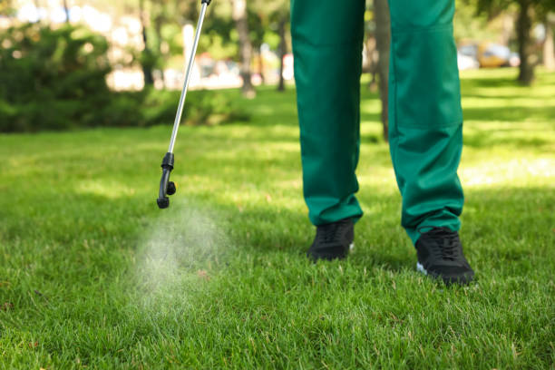 Wildlife Control Services in Highland City, FL