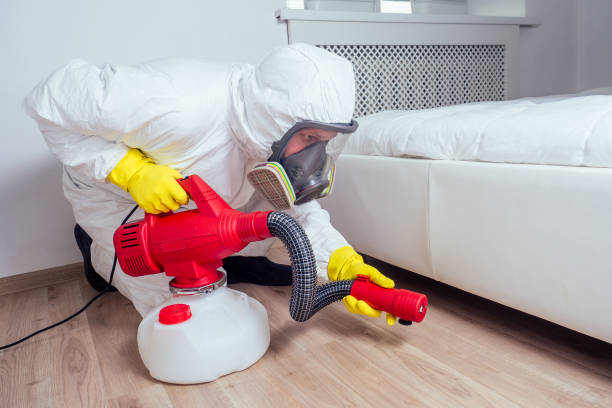 Best Pest Control Near Me  in Highland City, FL