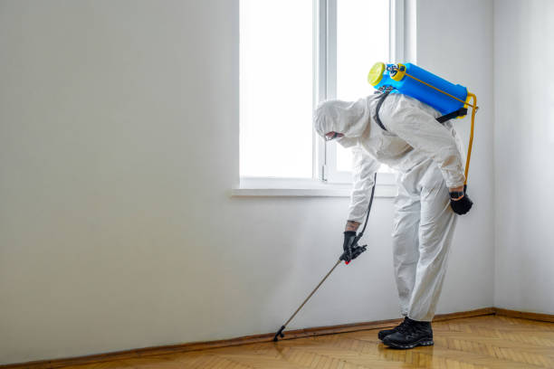 Best Best Pest Control Companies  in Highland City, FL