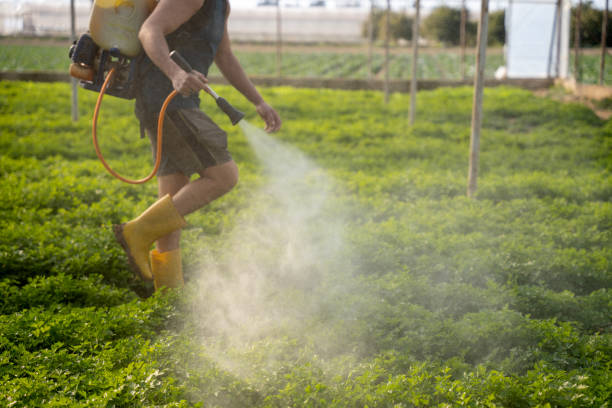 Best Residential Pest Control  in Highland City, FL