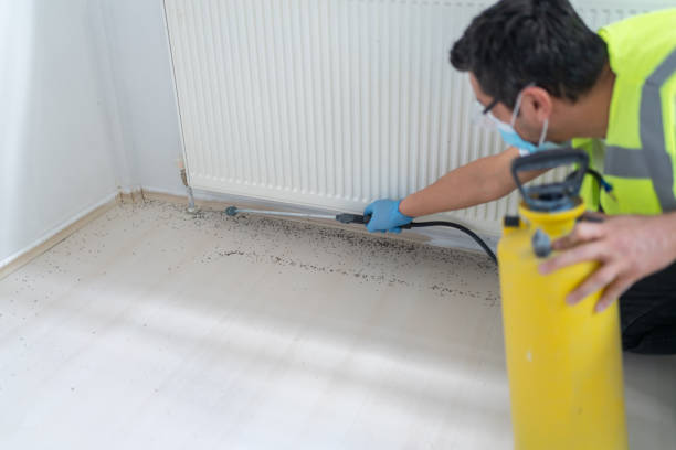 Best Flea Control Services  in Highland City, FL
